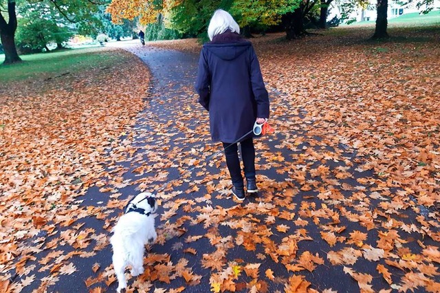 Im Herbst kann ein Spaziergang im Herb...einer rutschigen Angelegenheit werden.  | Foto: Hrvoje Miloslavic