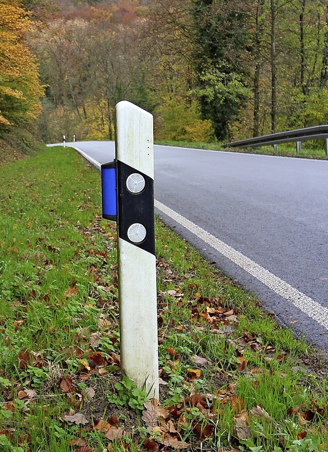 Blaue Signalelemente an Leitpfosten un...n vom berqueren von Straen abhalten.  | Foto: Reinhard Cremer
