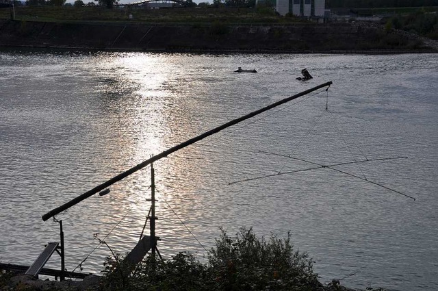 Berufsfischer am Rhein nutzten hufig ...am Fluss wie hier beim Stauwehr Mrkt.  | Foto: Jutta Schtz