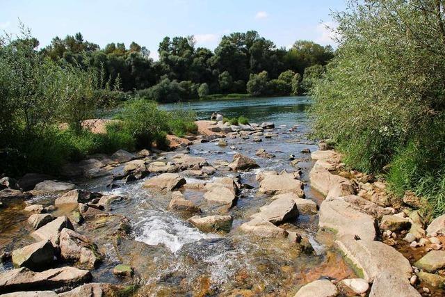 Der Hochwasser-Rckhalteraum im Landkreis Lrrach ist fertiggestellt