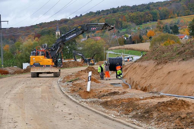 Zehn Krtentunnel entstehen an der Lan... sicher zu ihren  Laichtmpeln kommen.  | Foto: Ulrich Senf