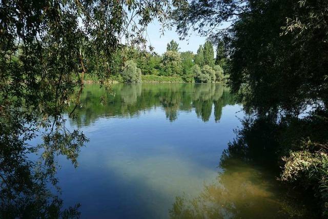 Mit der Rheinbegradigung wollte Tulla den wilden Fluss zhmen