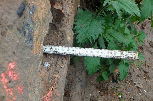 An manchen Stellen ist die Stadtmauer fast zwei Meter dick.  | Foto: Ingenieurbro Mohnke und Hss, Freiburg