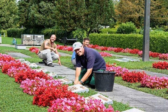 Friedhofsgrtner und Steinmetze arbeiten im Reich der Toten