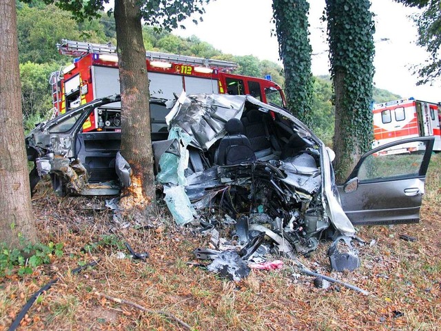 Das Ende einer Trunkenheitsfahrt   | Foto: Verkehrspolizei