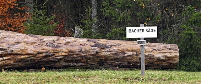 Ganz im Wald versteckt auf dem Weg zwi...nz am Ende der geteerten Zufahrt hin.   | Foto: Karin Stckl-Steinebrunner