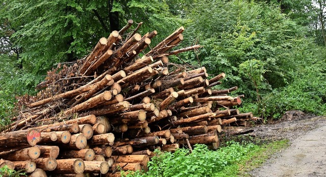 Dieses im Hertener Wald geschichtete Holz stammt von kranken Bumen.   | Foto: Heinz und Monika Vollmar