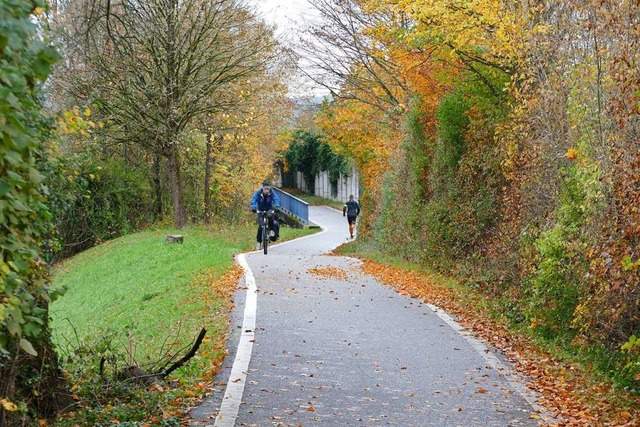 Der Radweg an der Wiese &#8211; hier e...Platz soll Konflikte vermeiden helfen.  | Foto: Sabine Ehrentreich