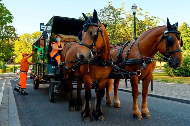 Die Pferde Taram und Youri sind in Br...haerbeek fr die Mllabfuhr zustndig.  | Foto: Sven Braun