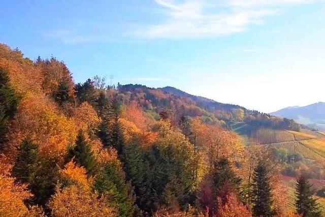 Video: Ein Drohnenflug ber den herbstlichen Breisgau