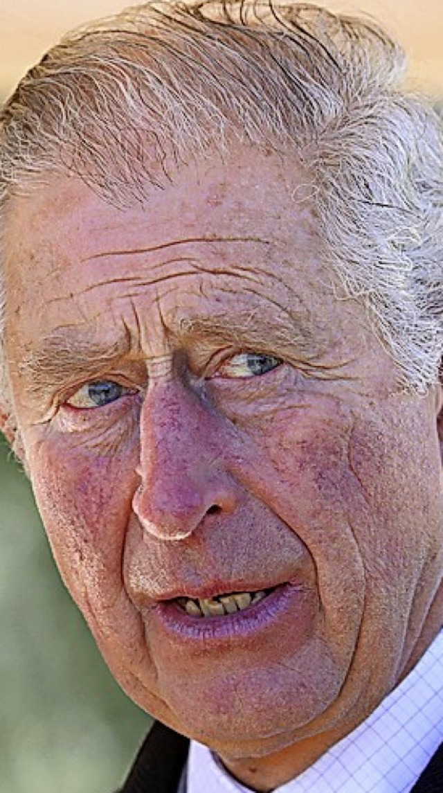 Prinz Charles  | Foto: Chris Jackson (dpa)