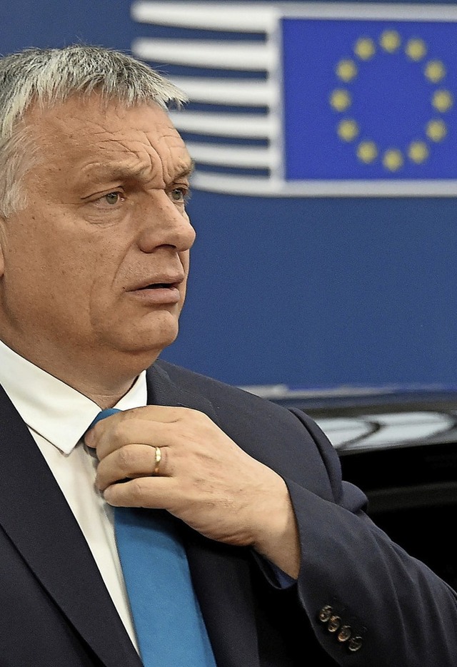 Ihm soll es nach dem Willen anderer EU...ngarns Ministerprsident  Viktor Orban  | Foto: John Thys (dpa)