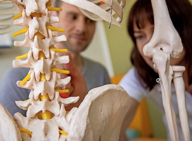 Knochen, Sehnen, Muskeln: Anatomie ist...halte fr angehende Physiotherapeuten.  | Foto: Christin Klose