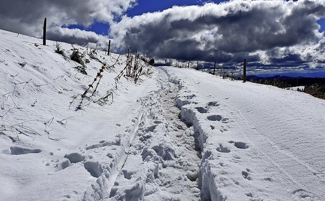Es mssen nicht immer Ski oder Schnees...Schnee mit leichtem Schuh ist  Trend.   | Foto: Maja Tolsdorf