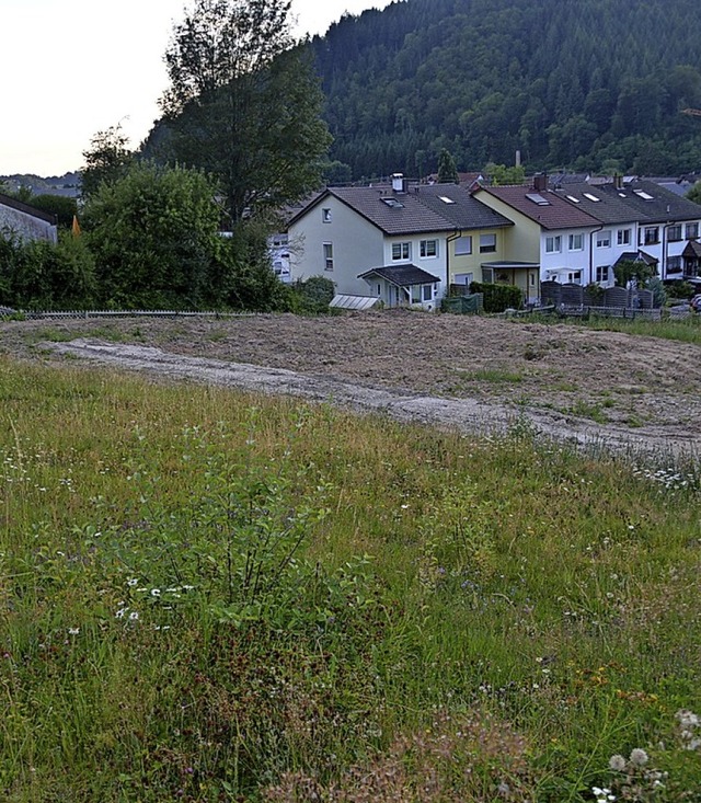 &#8222;Im Loh&#8220; sollen drei Doppelhuser entstehen.   | Foto: Edgar Steinfelder