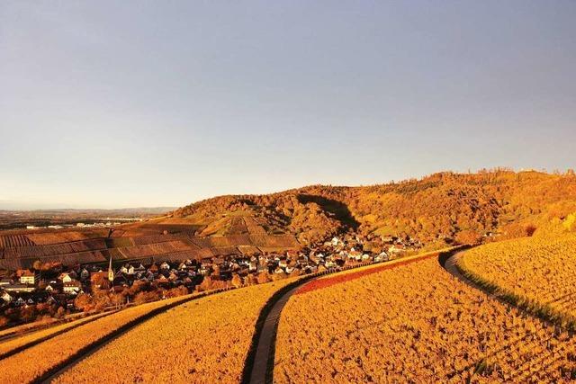 Anmutiger Herbst in Ebringen aus der Drohnenperspektive