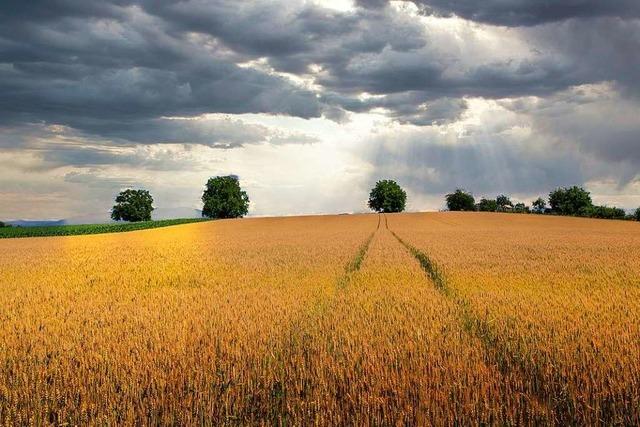 Sonnenstrahlen tasten bei Teningen durch die Wolkendecke