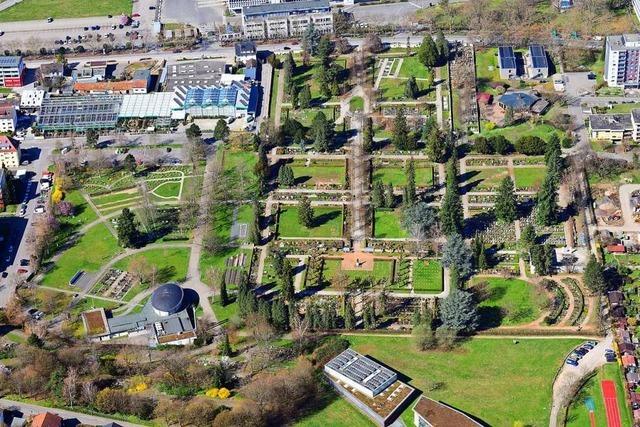 Lörrachs Friedhöfe wandeln sich immer mehr zu Parks