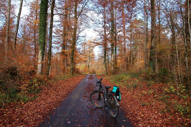 Der Weg zwischen Karsau und Nordschwab... nutzen  ihn vermehrt auch Autofahrer.  | Foto: Petra Wunderle