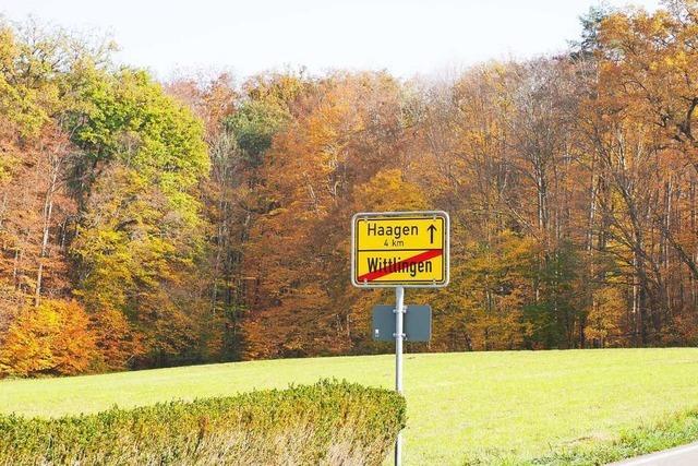 Wald bei Wittlingen und Eimeldingen wirft keinen Gewinn mehr ab
