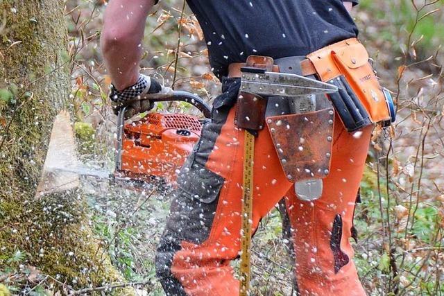 Die Grnen wollen weniger Hieb im Lrracher Stadtwald