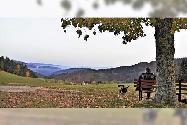 Entspannter Blick ins Tal