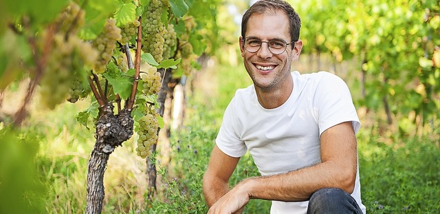 Weinbau ist fr  Dominik Ernst  Handarbeit.   | Foto: Alexander Ziegler