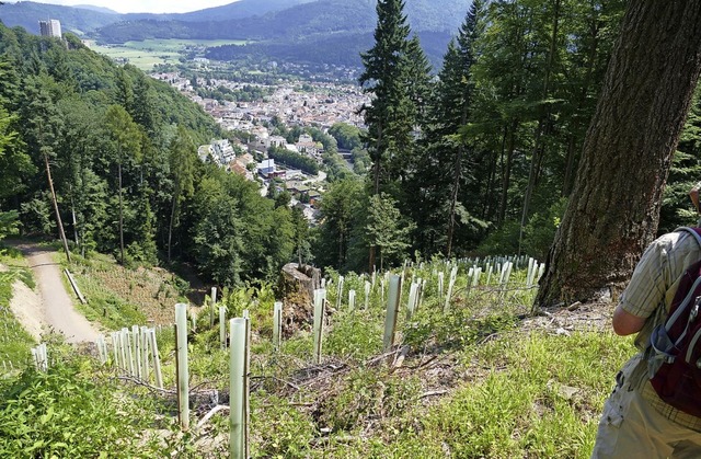 Schne Wanderwege gibt&#8217;s in und ...- und Simonswldertal mehr als genug.   | Foto: Sylvia Sredniawa