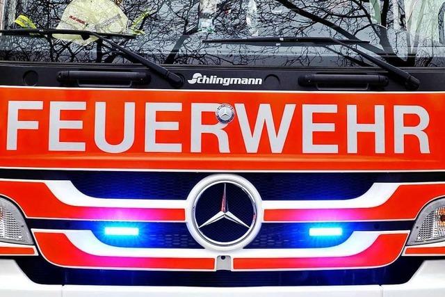 Feuerwehr in Lrrach muss wegen eines brennenden Baums ausrcken