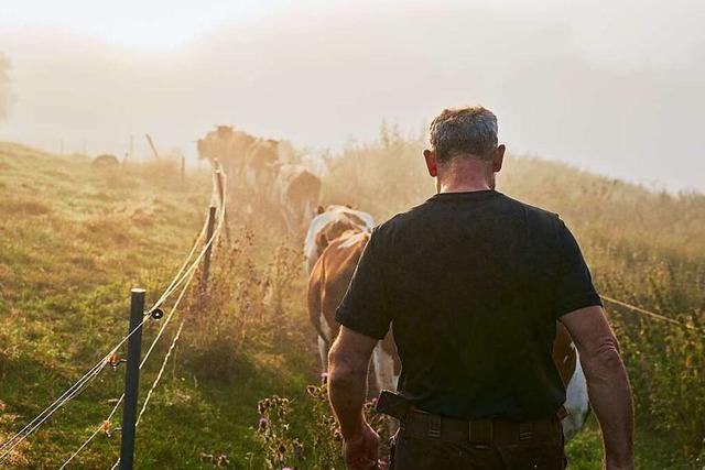 Schwarzwaldmilch wird auch im Nahen Osten getrunken