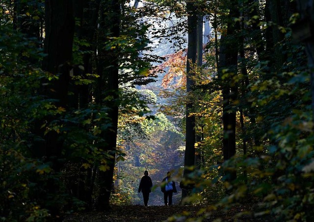 Ein Spaziergang in der Natur kann Lich...n und helfen, neue Kraft  zu schpfen.  | Foto: Arne Dedert (dpa)