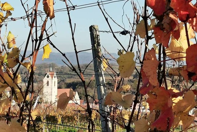 Bietet stimmungsvolle Ausblicke: der Kaiserstuhl im Herbst  | Foto: Hans Peter Linder