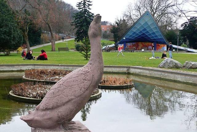 Der warnende Erpel im Stadtgarten war wohl nur eine Ente