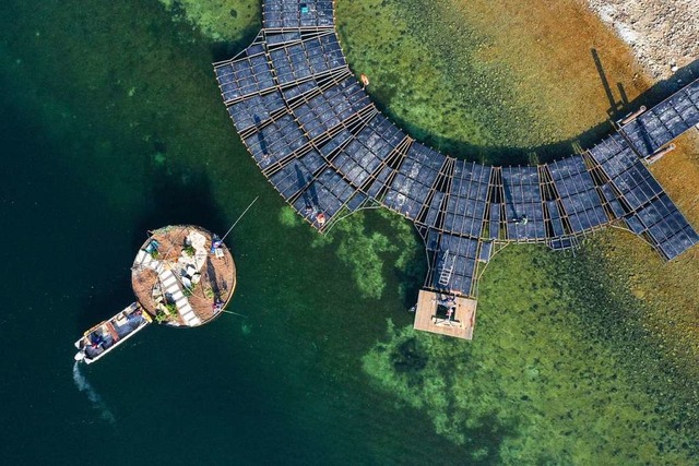 Die schwimmenden Grten sind Teil der ...ie wegen Corona verschoben worden ist.  | Foto: Felix Kstle (dpa)