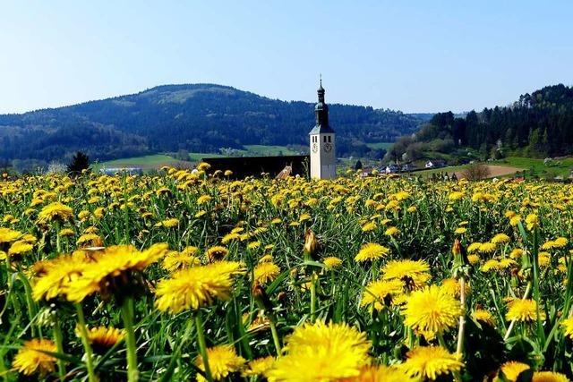 Alles im gelben Bereich um Seelbach