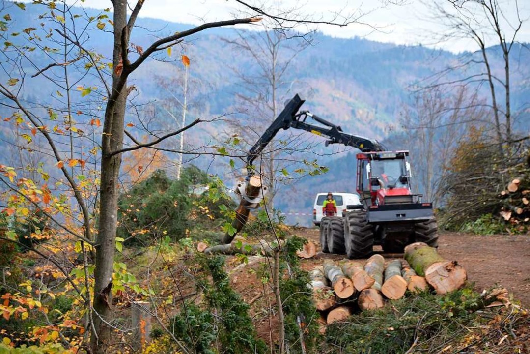 Viel Schadholz muss auch in der Ortenau aus dem Wald geholt werden.  | Foto: Hubert Rderer