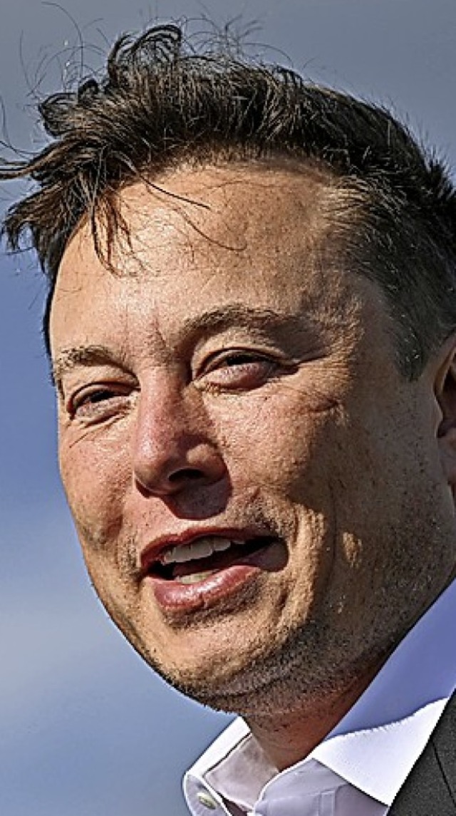 Elon Musk  | Foto: Patrick Pleul (dpa)