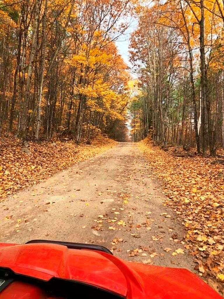 Herbstimpressionen