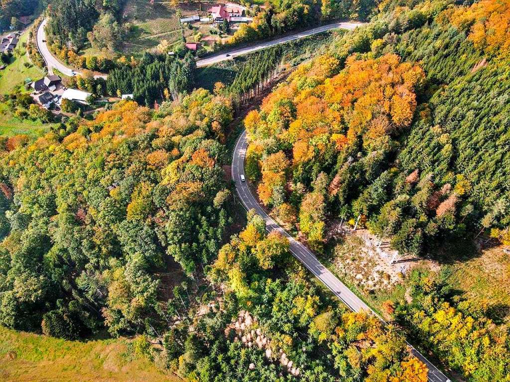 Herbstimpressionen