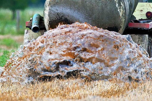 Es war einfach nur Glle (Symbolfoto)  | Foto: Patrick Pleul (dpa)