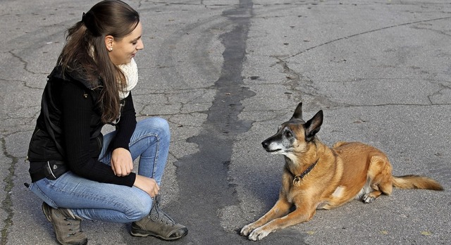Die Kommunikation zwischen Hund und Ha...st fr die Hundetrainerin entscheidend  | Foto: Cornelia Liebwein