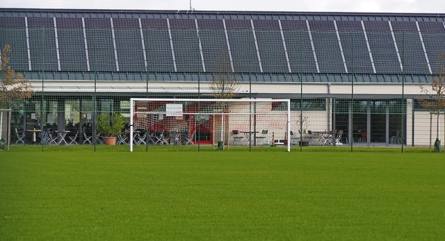 Das neue Rasenspielfeld des TuS Binzen...ntensiv genutzt werden kann es nicht.   | Foto: Herbert Frey