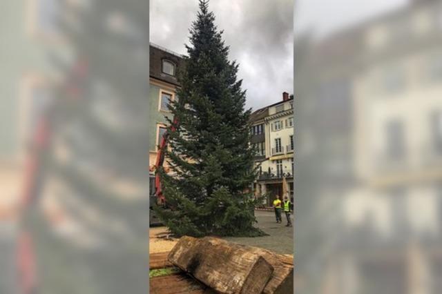 Christbaum