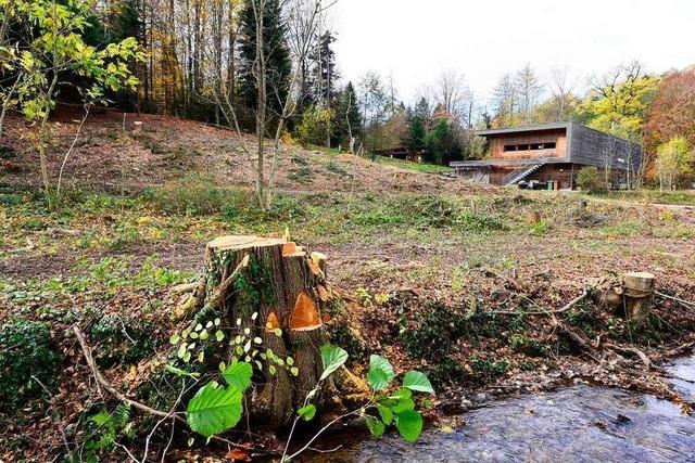 Freiburgs neues Forstamt entsteht am Waldrand - als Vierstcker