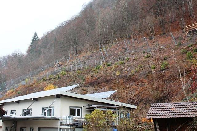 Der Bau des ersten Schutzzauns in Geschwend ist fast abgeschlossen