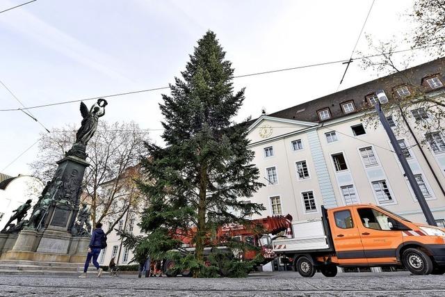 Der erste Weihnachtsbaum