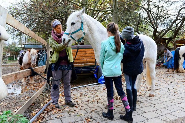 Die Pferde sind auch auf dem Kinderabenteuerhof die Renner.  | Foto: Ingo Schneider