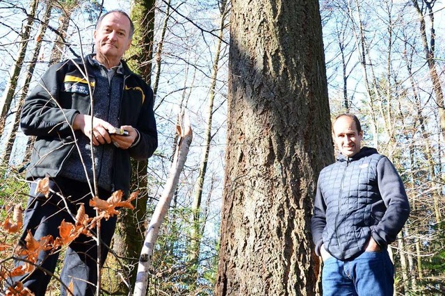 Bernhard Schirmer (links) und Frank Kr...erner Stadtwaldes zukunftsweisend ist.  | Foto: Moritz Lehmann