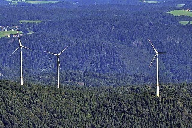 Ausgleich fr den Natureingriff durch Windrder soll endlich angegangen werden