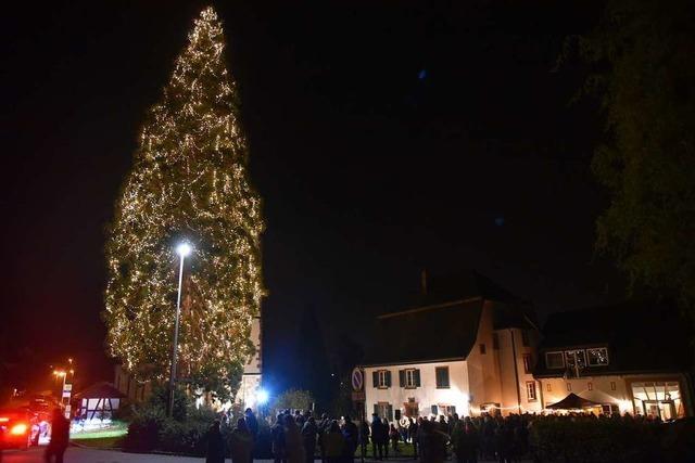 15.000 LED-Lichtlein bringen den Eichsler Weihnachtsbaum zum Strahlen